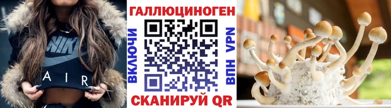 Псилоцибиновые грибы Psilocybine cubensis  закладки  Иваново 